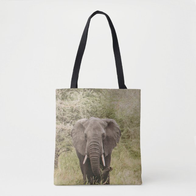 TOTE BAG ÉLÉPHANT REGARDANT UNE VOITURE D'EXCURSION (Devant)