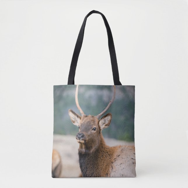 TOTE BAG ELK IN ROCKY MOUNTAIN NATIONAL PARK - ELK HERDS GR (Devant)