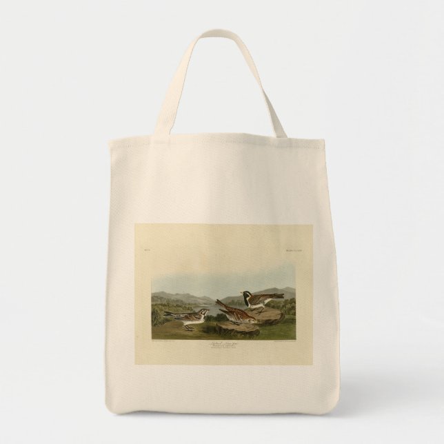Tote Bag Éperon long de la Laponie, d'Audubon's Birds of Am (Devant)
