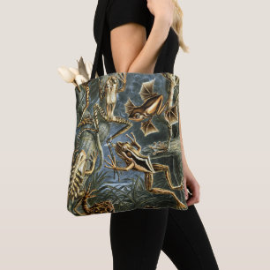 Tote Bag Ernst Haeckel variété de grenouilles exotiques : B