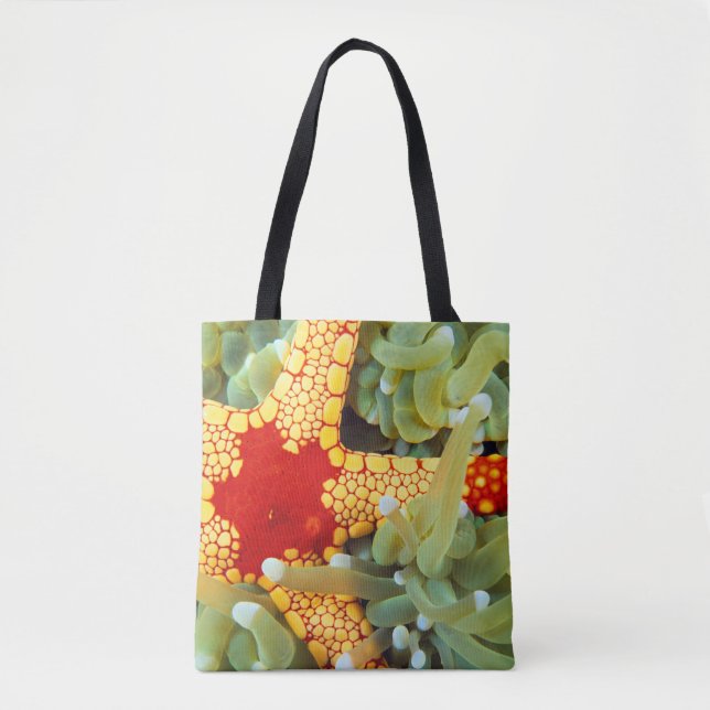 Tote Bag Étoile de mer rouge et jaune (Devant)