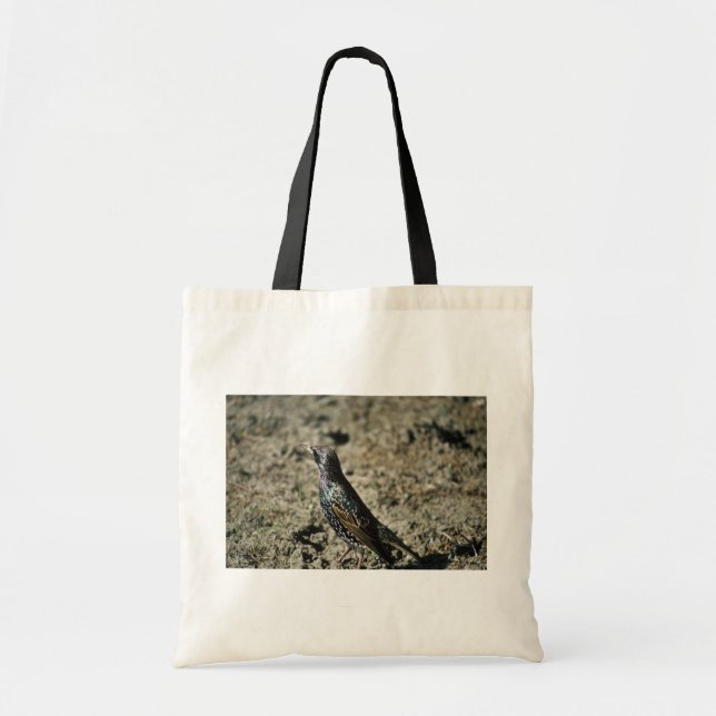 Tote Bag Étourneau européen (Devant)