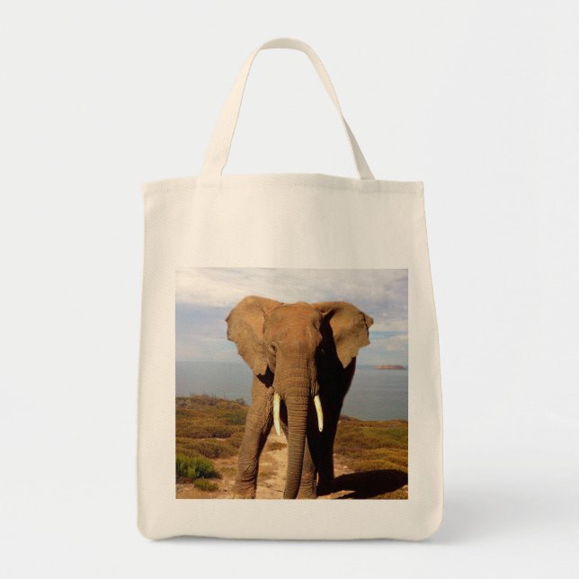Tote Bag Excursion de la journée Elephant Beach, (Devant)