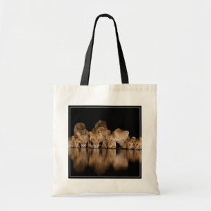 Tote Bag Fierté de lions buvant au point d'eau la nuit