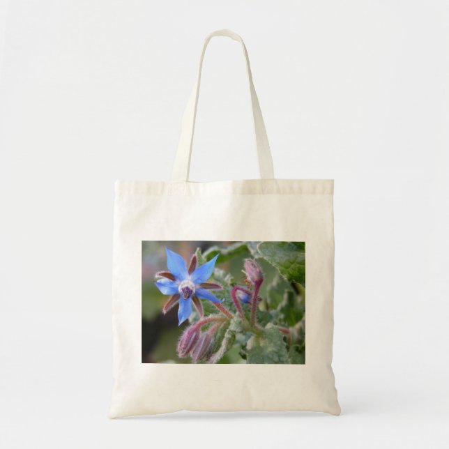 Tote Bag Fleur de l'étoile de Borage (Devant)