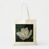 Fleur de magnolia du sud