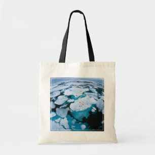 Tote Bag Glace et neige Ours polaire, Océan Arctique, Sva