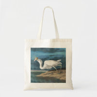 Grande Peinture de la faune d'Audubon Heron blanc