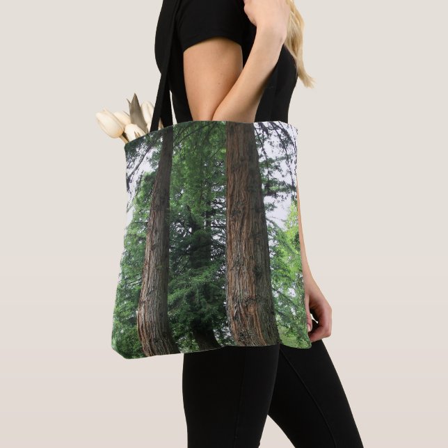 Tote Bag Grands arbres Redwood côtiers (De près)