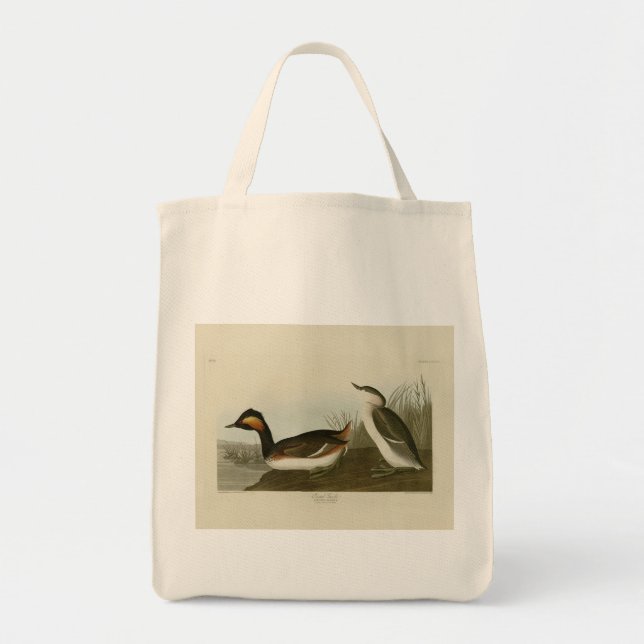 Tote Bag Grebe d'Amérique (Grèbe à cou noir) - Audubon (Devant)