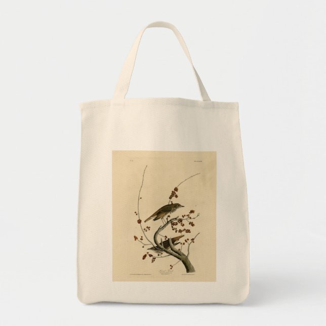 Tote Bag Grive d'ermite des oiseaux d'Amérique d'Audubon (Devant)