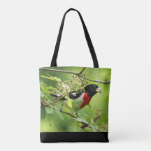 Grosbeak Fourre-tout à poitrine Rose masculine