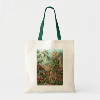 Tote Bag Haeckel