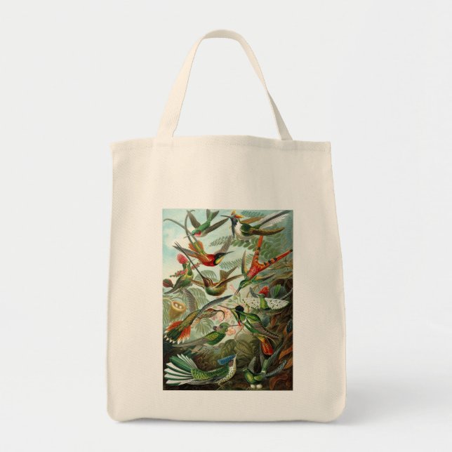 Tote Bag Haeckel (Devant)