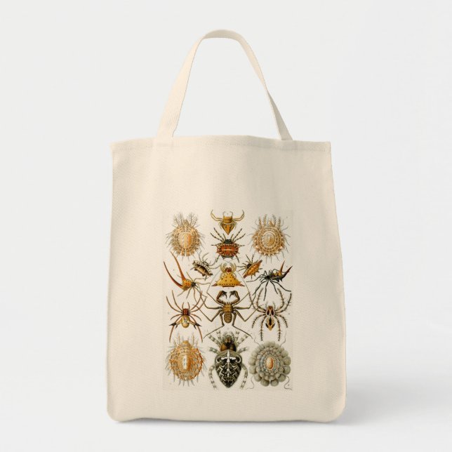 Tote Bag Haeckel Bugs (Devant)