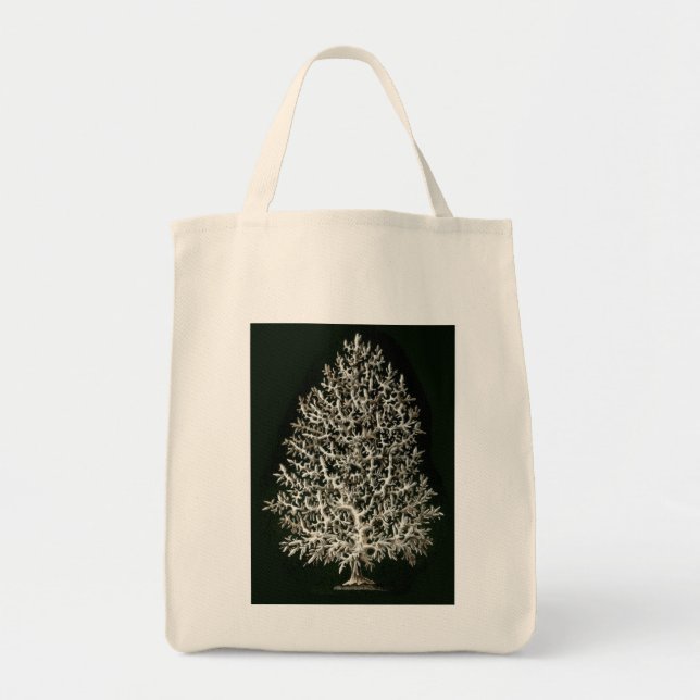 Tote Bag Haeckel Négatif (Devant)