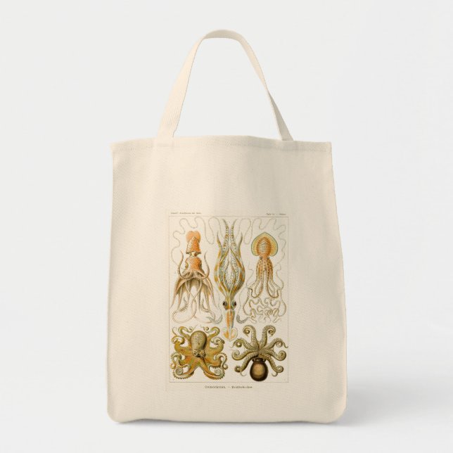 Tote Bag Haeckel Octopus (Devant)