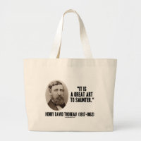 Henry David Thoreau c'est un grand art à se