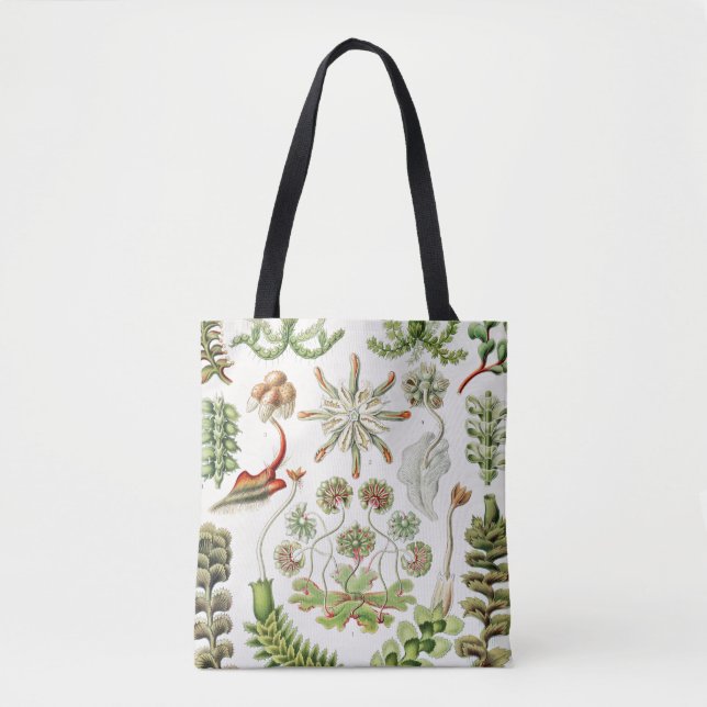 Tote Bag Hepaticé Lebermoose par Ernst Haeckel (Devant)