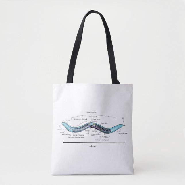 Tote Bag Hermaphrodite nématode Caenorhabditis elegans (Devant)