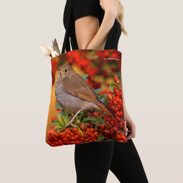Tote Bag Hermite Thrush Songbird sur araignée de feu (De près)