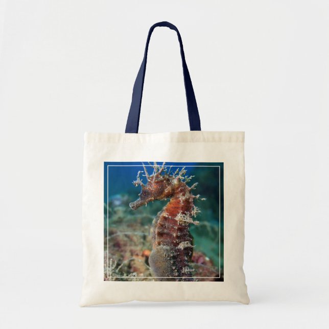 Tote Bag Hippocampe Ramulosus de l'hippocampe | (Devant)