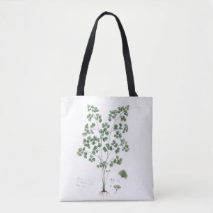 Tote Bag Illustration botanique de la fougère capillaire vi
