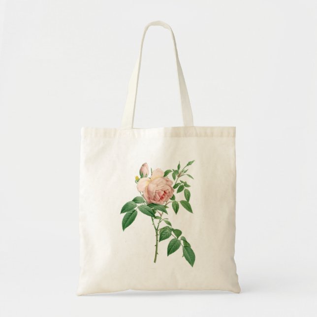 Tote Bag Illustration botanique de Rosa indica (Devant)