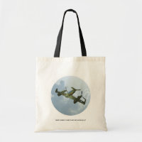 Illustration d'aviation militaire de vol de warbir