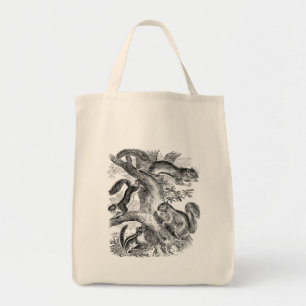 Tote Bag Illustration vintage d'écureuil de 1800s -
