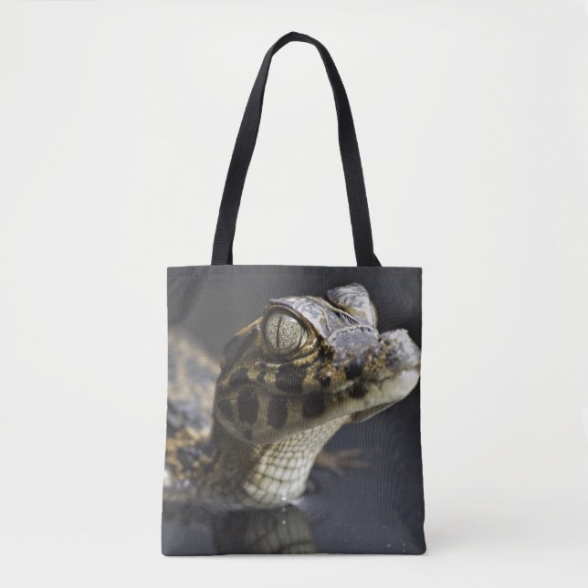 Tote Bag Jeune caïman dans l'eau avec la réflexion (Devant)