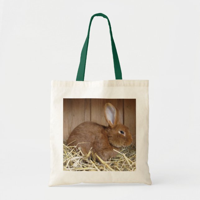 Tote Bag Joli lapin Brown en foin frais (Devant)
