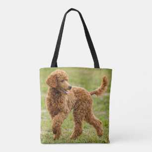 Tote Bag Jouer caniche rouge caniche