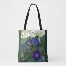 Kaléidoscope de Volubilis du Matin