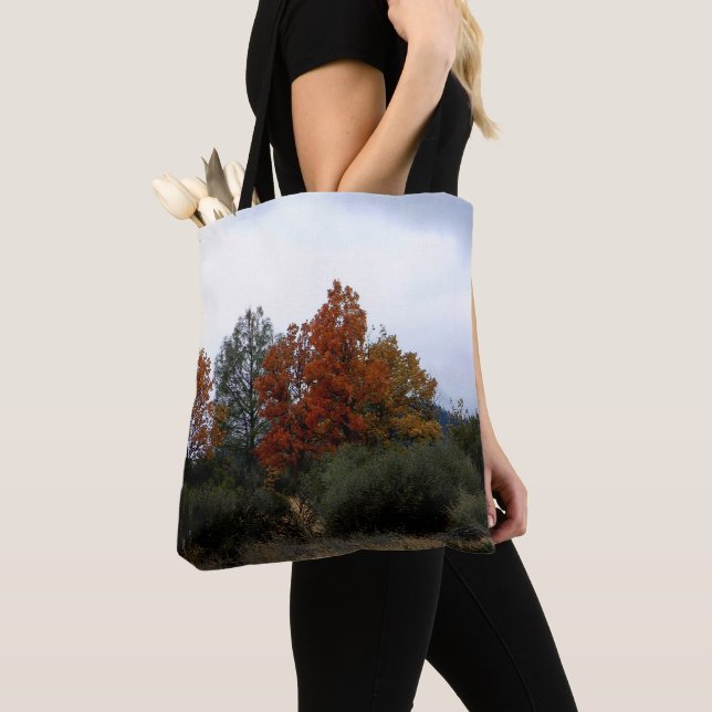 Tote Bag La beauté automnale.... (De près)