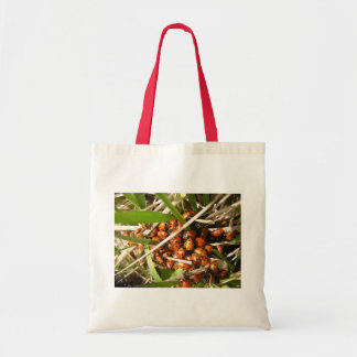 Tote Bag Ladybugs (Coccinellidae)