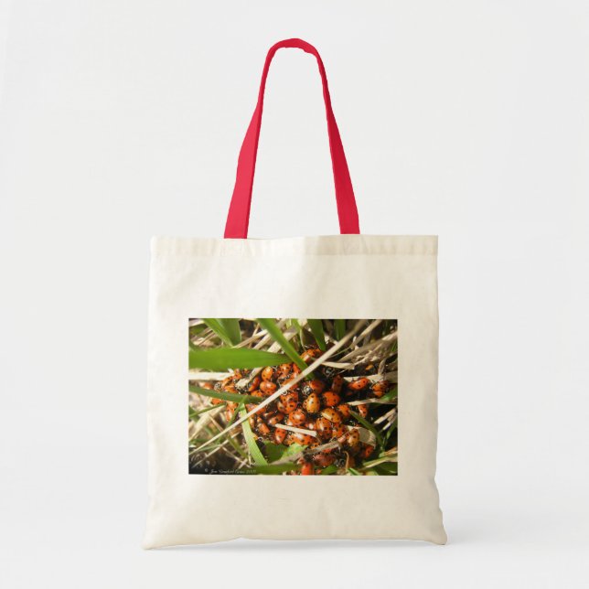 Tote Bag Ladybugs (Coccinellidae) (Devant)