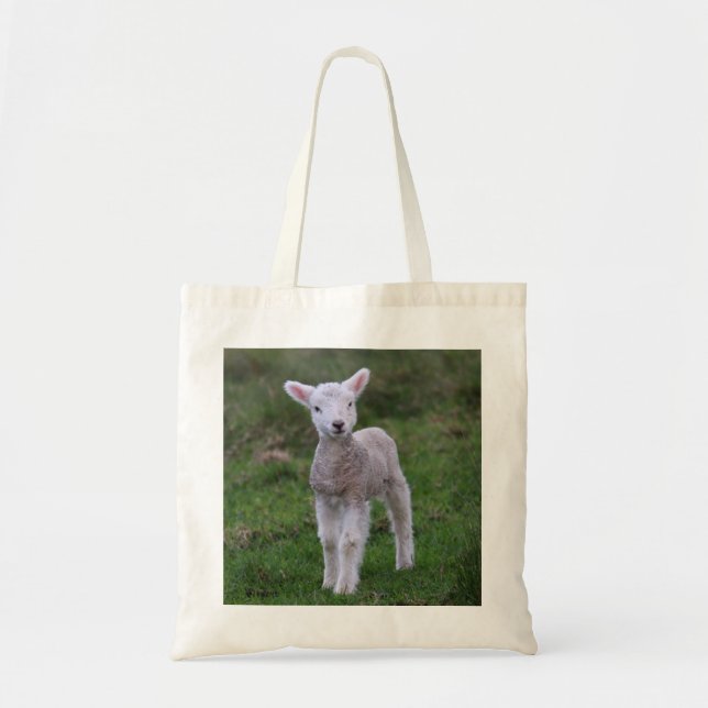 Tote Bag Lamb Bébé Mouton ferme animal (Devant)