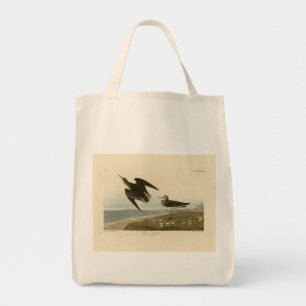 Tote Bag Le bécasseau de Schinz des oiseaux d'Amérique d'Au
