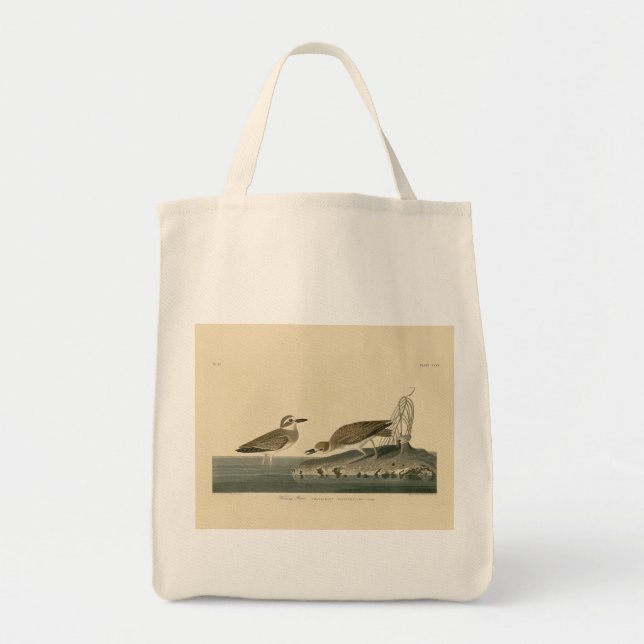 Tote Bag Le Pluvier siffleur de Wilson des oiseaux d'Amériq (Devant)