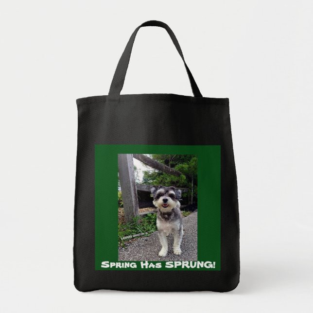 Tote Bag Le ressort du *NEW* 2015 A JAILLI ! Carmin Winston (Devant)