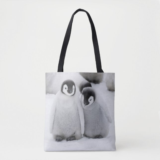 Tote Bag L'empereur Penguin Chicks sur la glace en Antarcti (Devant)
