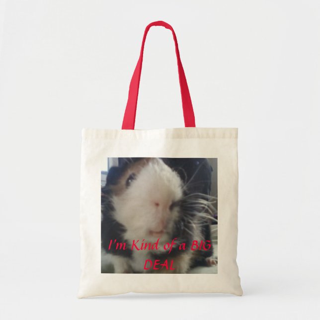 Tote Bag les cobayes sont une affaire (Devant)