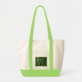 Tote Bag Les "professeurs plantent les graines qui élèvent
