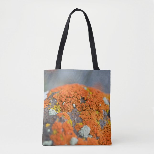 Tote Bag Lichen orange moss pierre gris (Devant)