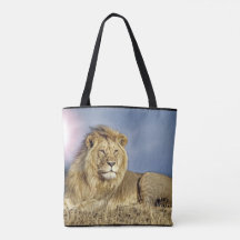 Lion dans le safari fourre-tout