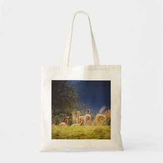 Tote Bag Llamas de bébé dans un champ