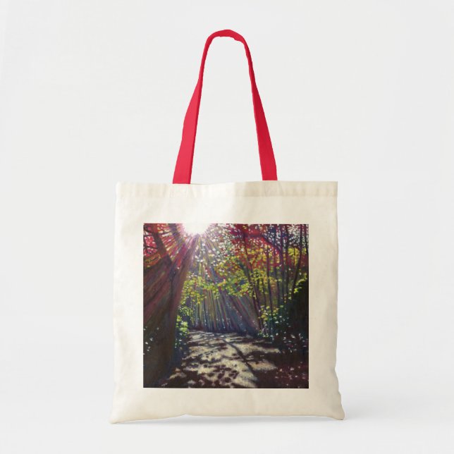 Tote Bag Lumière dispersée 2013 (Devant)