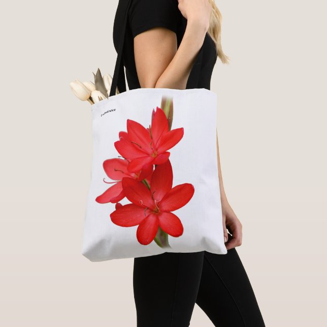 Tote Bag Lys Kaffir / Lys du Fleuve / Hesperantha Coccinea (De près)