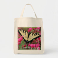 Machaon oriental